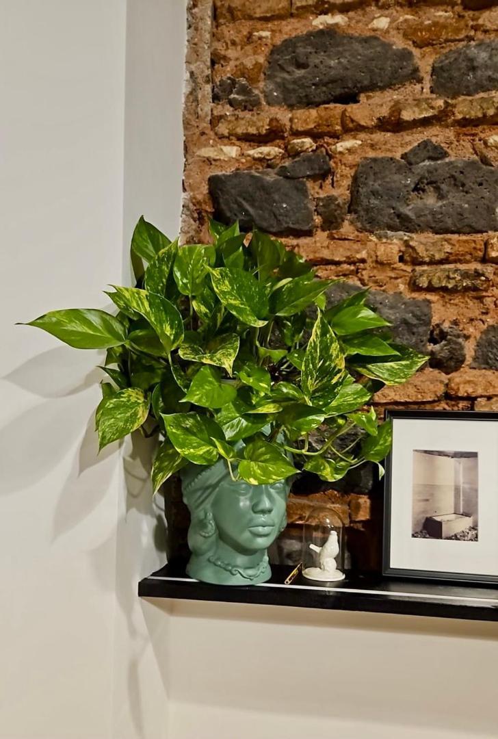 Minimal Chic-Teatro Massimo Bellini Apartment Catania Ngoại thất bức ảnh